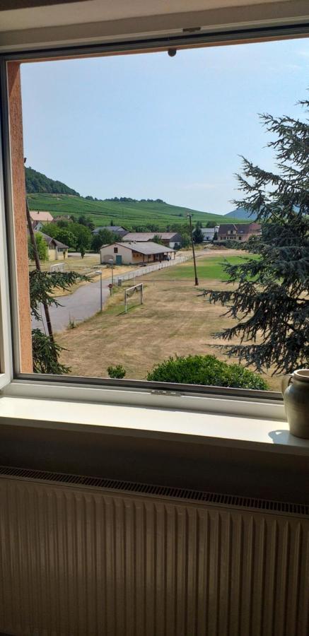 Gite Dans Vignoble Alsacien Westhalten Exterior foto