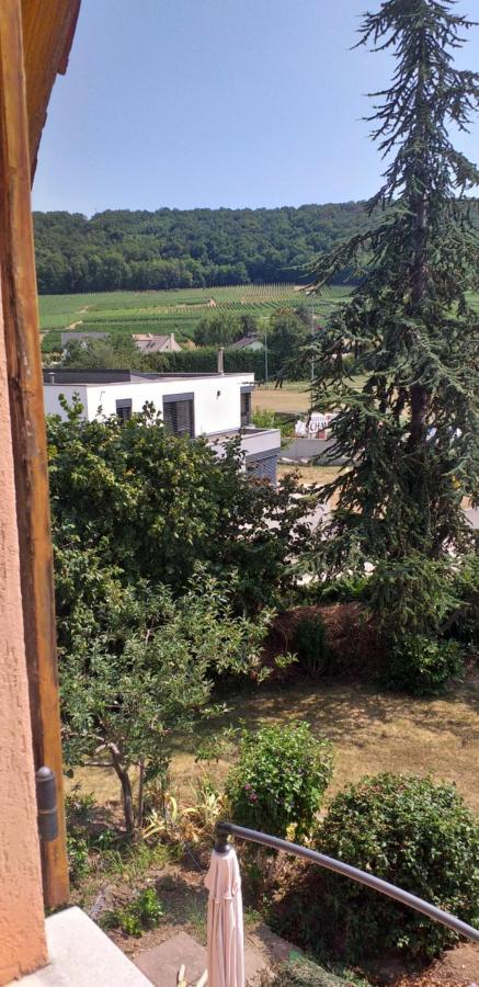 Gite Dans Vignoble Alsacien Westhalten Exterior foto