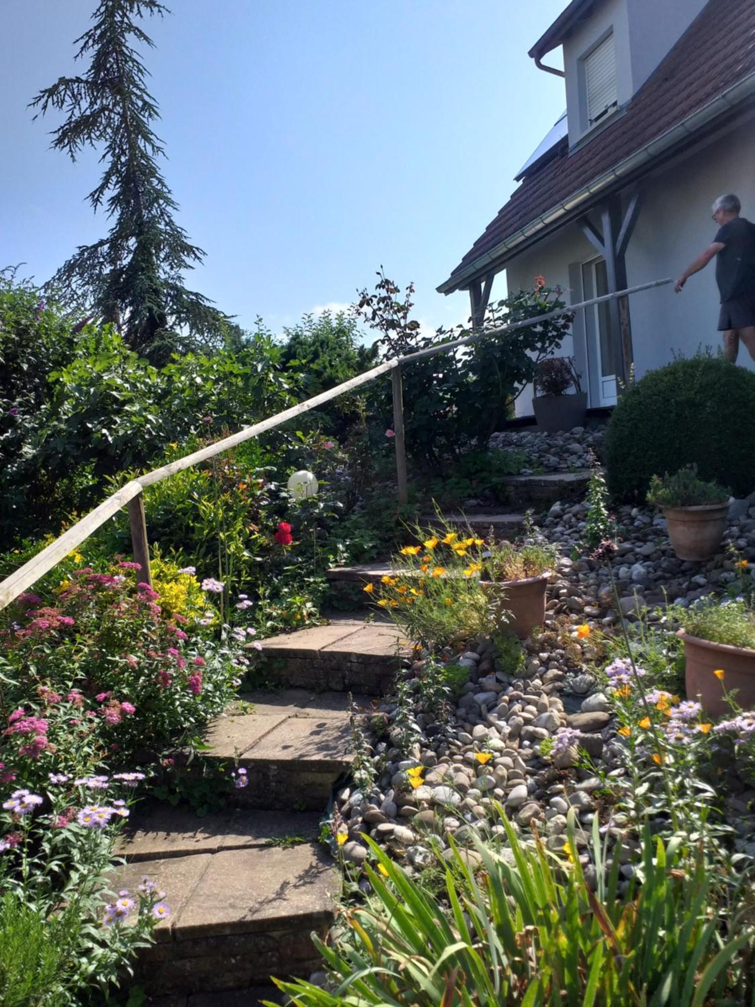 Gite Dans Vignoble Alsacien Westhalten Exterior foto